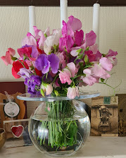 Plantes d'intérieur