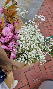 Décoration murale végétale